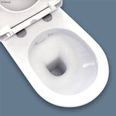 Fienza RAK Resort Back-to-Wall Toilet Suite, Top Inlet